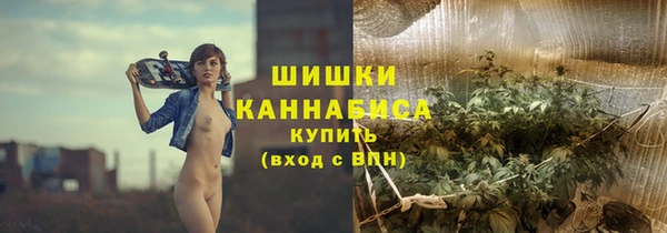 2c-b Ельня