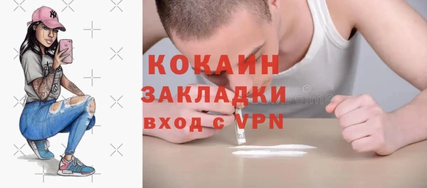 2c-b Ельня