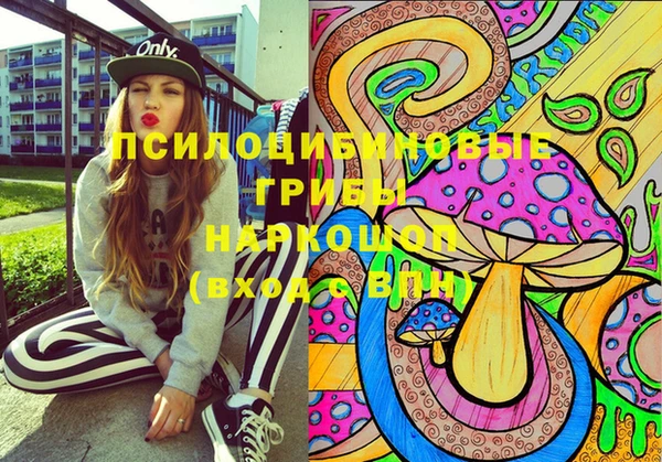 2c-b Ельня