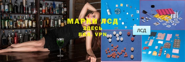 2c-b Ельня