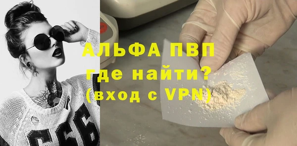 2c-b Ельня