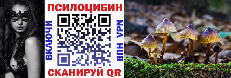 Купить закладки  Камбарка  Галлюциногенные грибы Psilocybine cubensis 